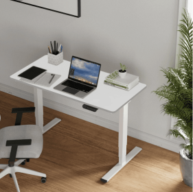 Electric Standing Desk Dual Motor 3 Stages Adjustable Height Desk Home Office Computer Workstation Sit Stand Up Desk, 55 X 28 Inch (Color: White)