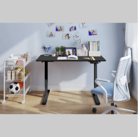 Electric Standing Desk Dual Motor Adjustable Height Desk Home Office Computer Workstation Sit Stand Up Desk,48 X 24 Inches (Color: Black)