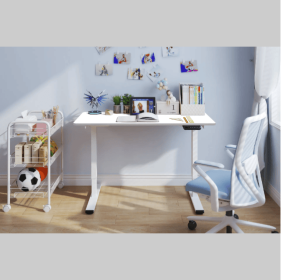 Electric Standing Desk Dual Motor Adjustable Height Desk Home Office Computer Workstation Sit Stand Up Desk,48 X 24 Inches (Color: White)